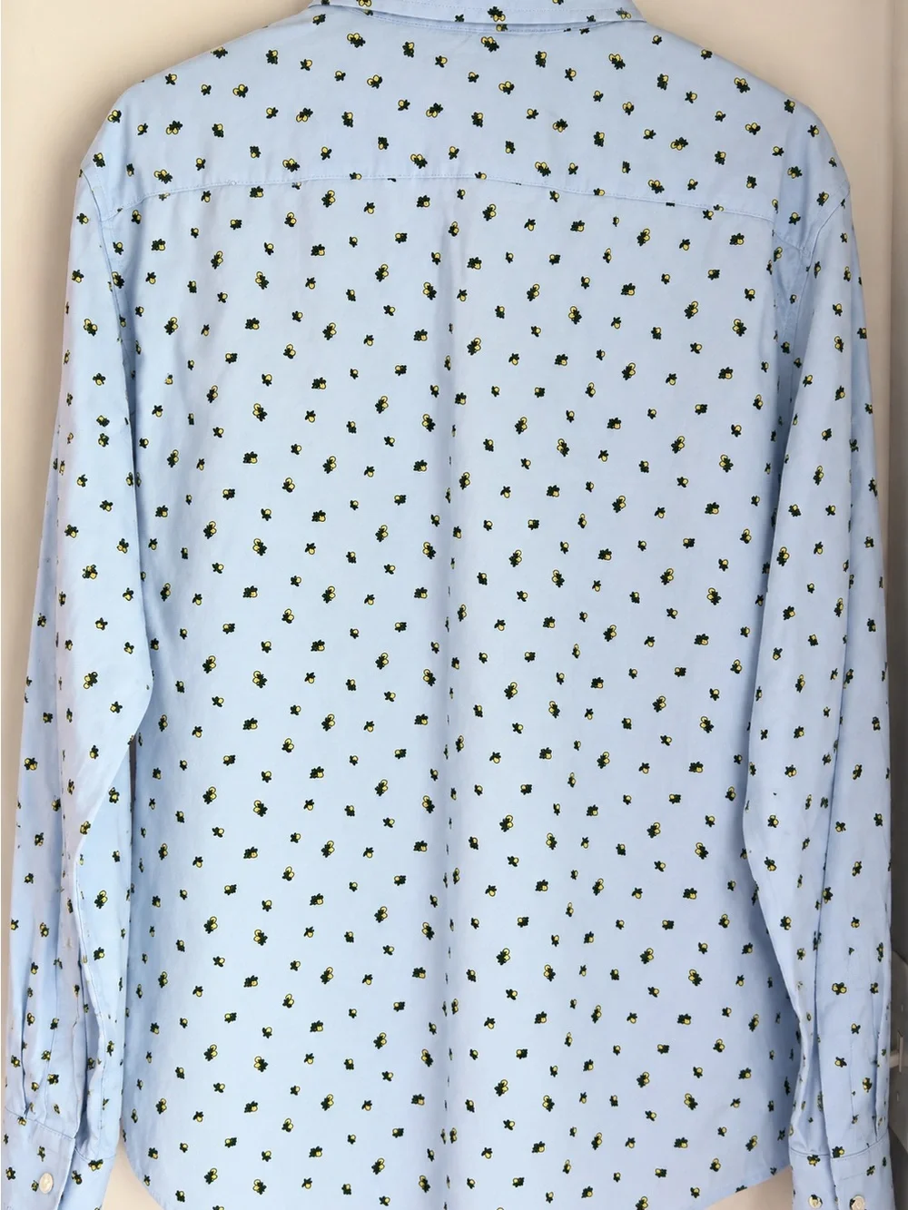 Banana Republic light blue